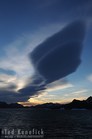 Lenticular Sunrise, St. Andrew's Bay, South Georgia Island