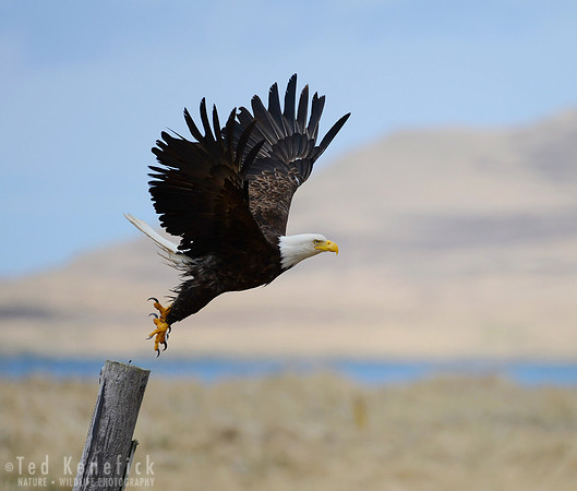 Up and... -- Adak Island, Alaska
