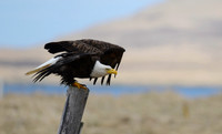 Up... -- Adak Island, Alaska