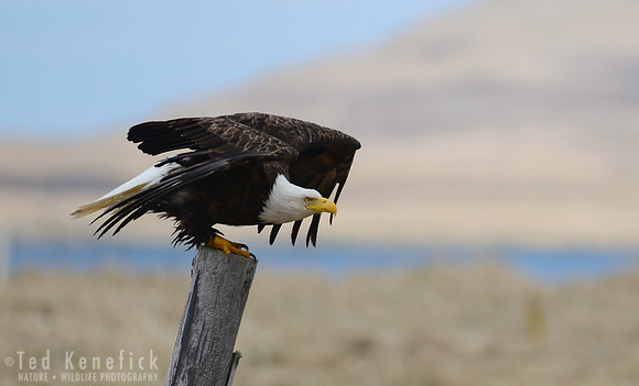 Up... -- Adak Island, Alaska