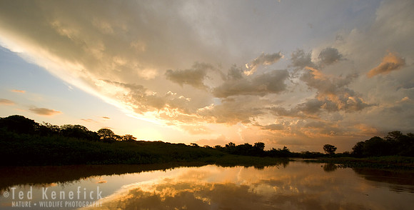 Evening on the Cuiaba -- The Pantanal, Brazil